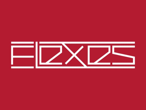 flexes-logo-rot